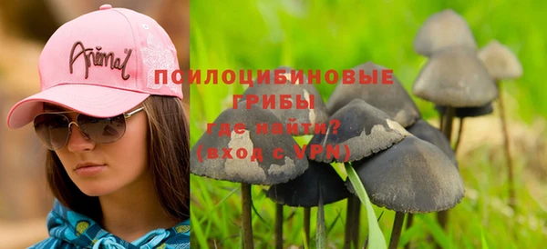 а пвп мука Баксан