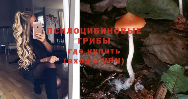 а пвп мука Баксан
