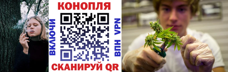 наркотики  Унеча  Канабис SATIVA & INDICA 
